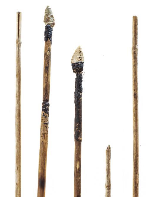 Ötzis Bogen und Pfeile // Ötzi’s bow and arrow